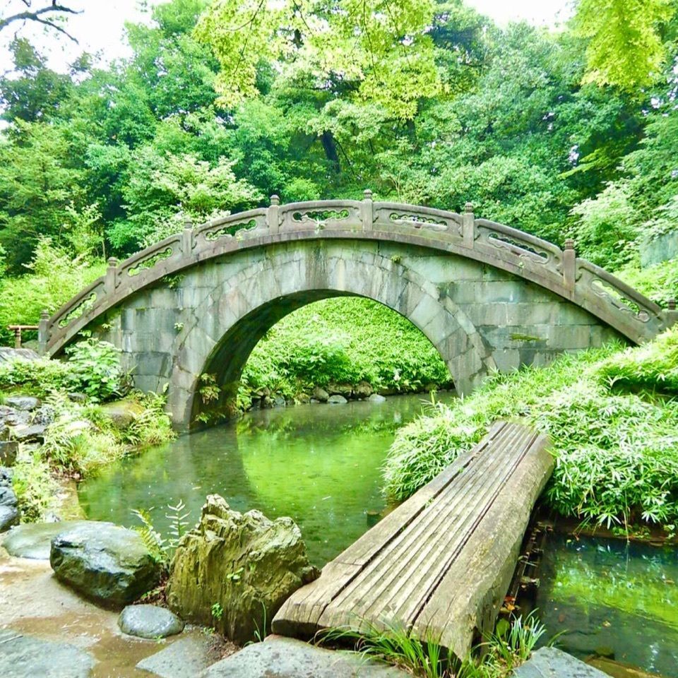 りゅうぽんさんが投稿した通天橋（小石川後楽園）に関する口コミの画像