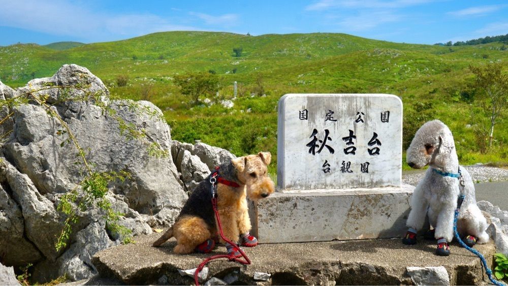 池田モコさんが投稿した秋吉台国定公園に関する口コミの画像