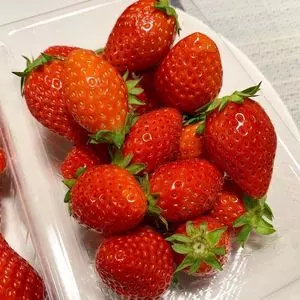 そのべ農園