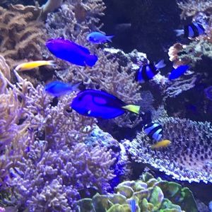 名古屋港水族館