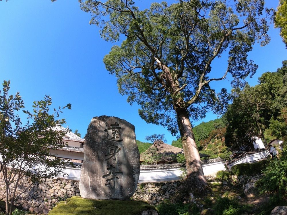 ruujunさんが投稿した達身寺に関する口コミの画像