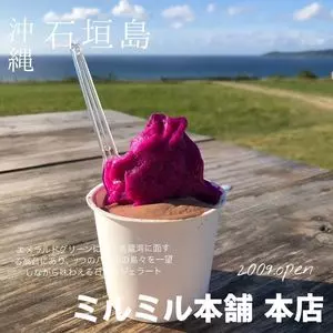 ミルミル本舗 本店