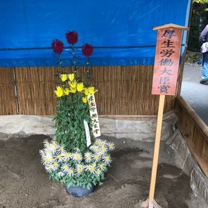 彌彦神社