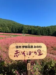 そば処 古田の里