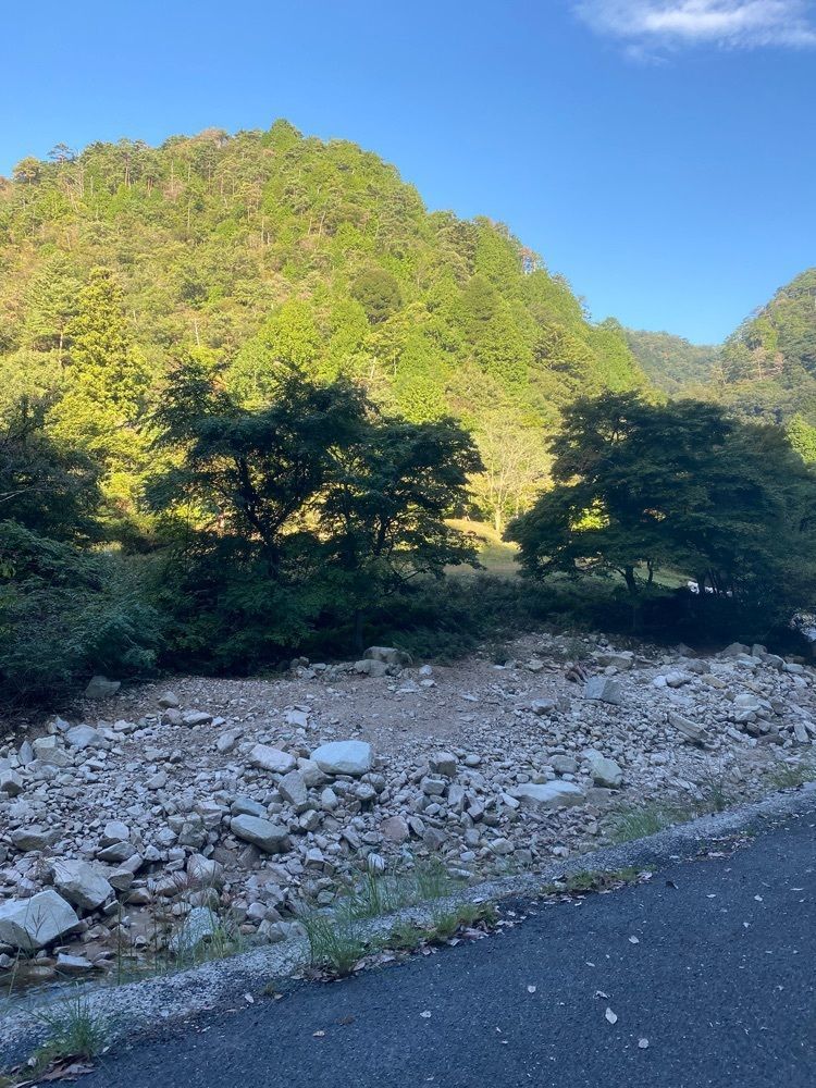 あるふぃすたさんが投稿した南原峡国際つり場に関する口コミの画像