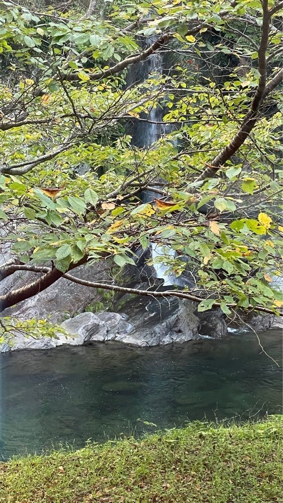 みぃさんが投稿したふいご温泉に関する口コミの画像
