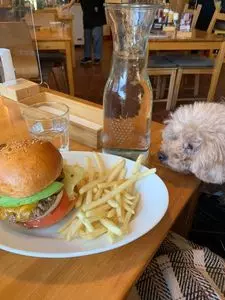 ムースヒルズバーガー（MOOSE HILLS BURGER）