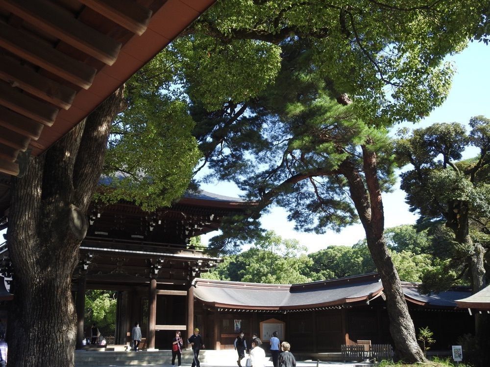 junkunさんが投稿した杜のテラス 2ndに関する口コミの画像