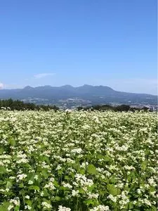 マルシェ