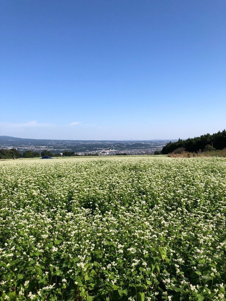からっ風②さんが投稿したマルシェに関する口コミの画像