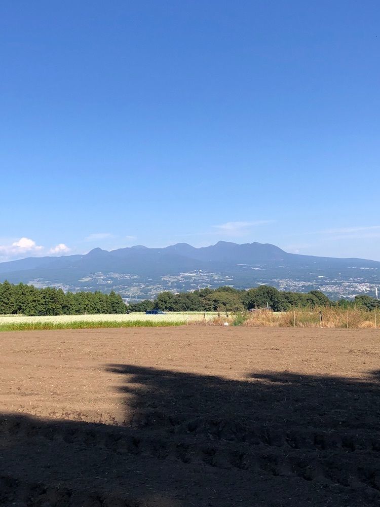 からっ風②さんが投稿したマルシェに関する口コミの画像