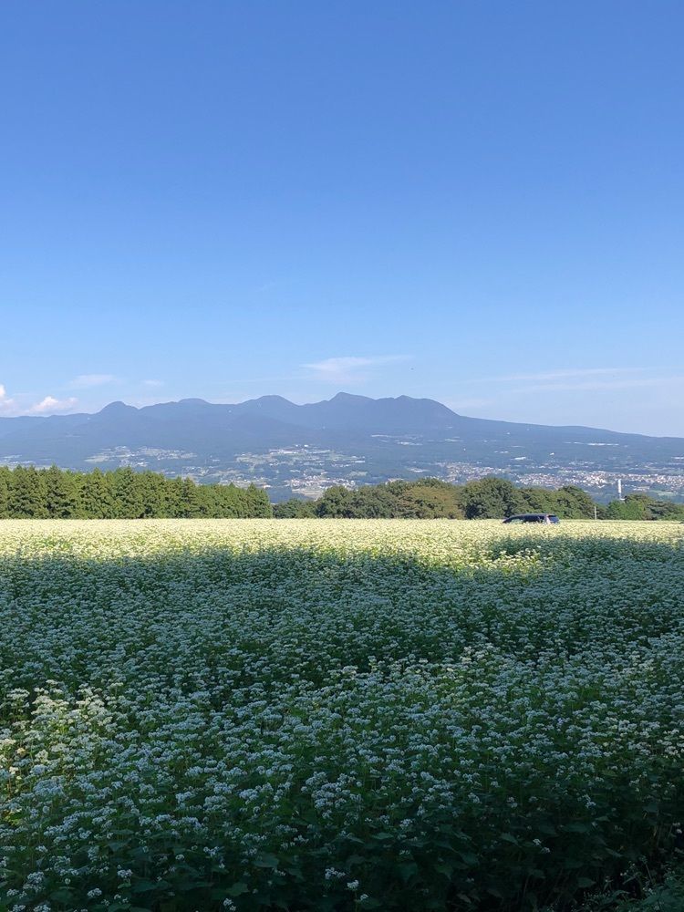 からっ風②さんが投稿したマルシェに関する口コミの画像