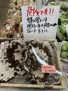 産直市場 グリーンファーム