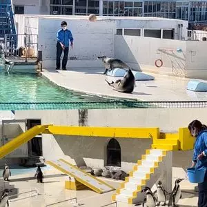 おたる水族館