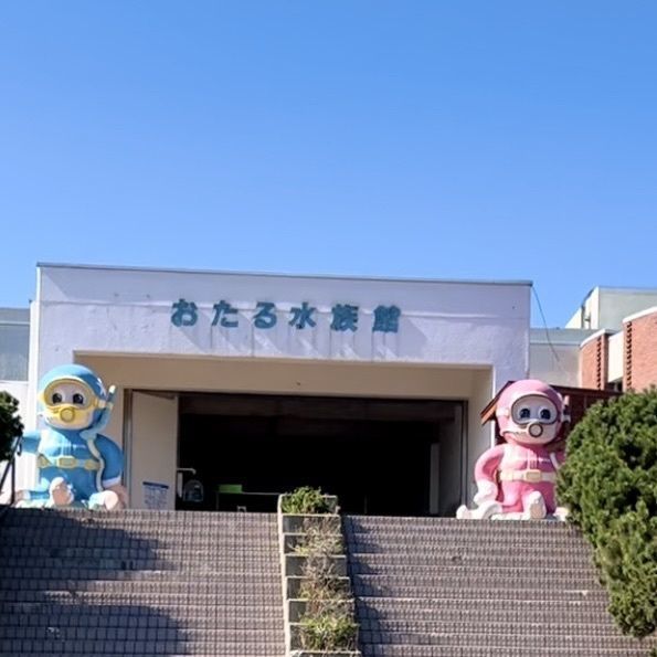 ひぃさんが投稿したおたる水族館に関する口コミの画像