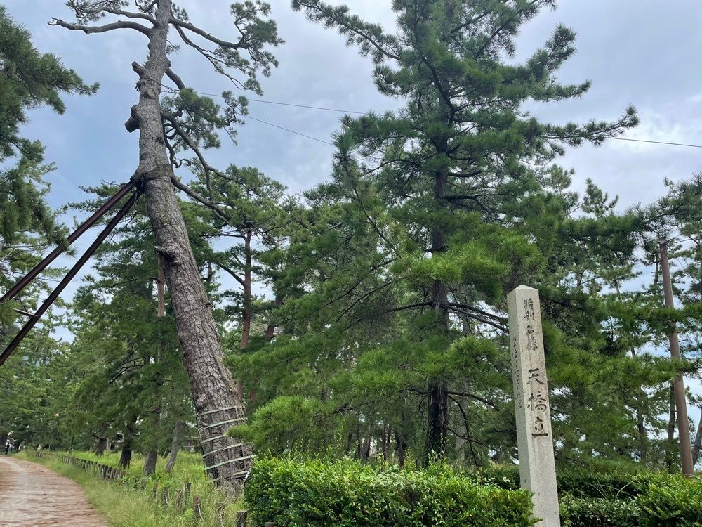 titi_lucky_88bbさんが投稿した天橋立神社に関する口コミの画像
