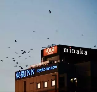 小田原みなと食堂