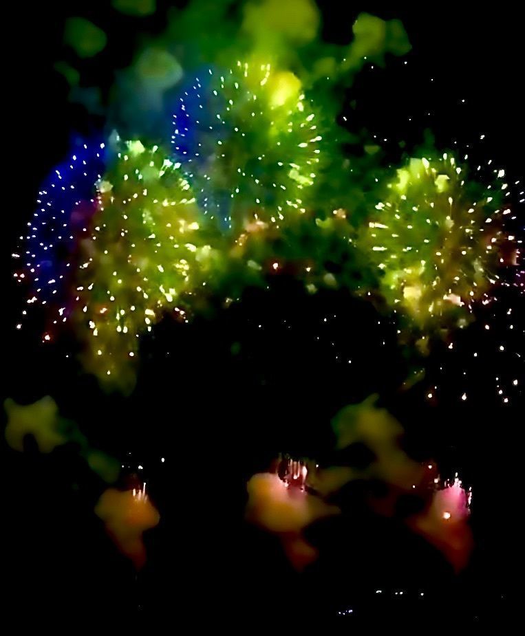 ＪＵNさんが投稿した秋田市夏まつり雄物川花火大会に関する口コミの画像