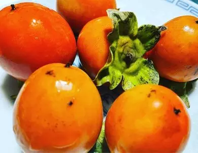 とれたて元気市