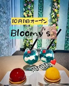 ブルーミーズ 各務原店