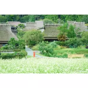 かやぶきの里