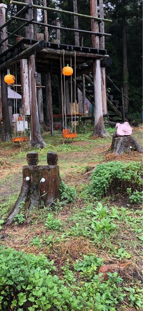 からっ風②さんが投稿した伊賀野の花畑に関する口コミの画像