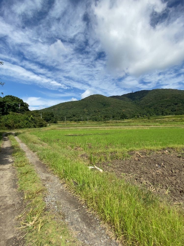 mariさんが投稿した小田城跡に関する口コミの画像