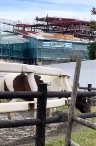 富士公園少年キャンプ広場