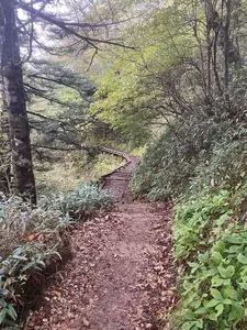 石鎚山