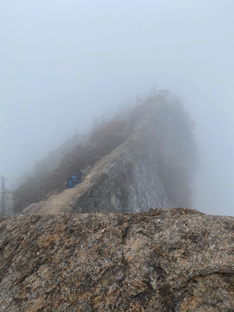 あるふぃすたさんが投稿した石鎚山に関する口コミの画像