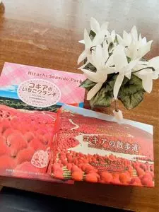 ひたち海浜公園中央口売店