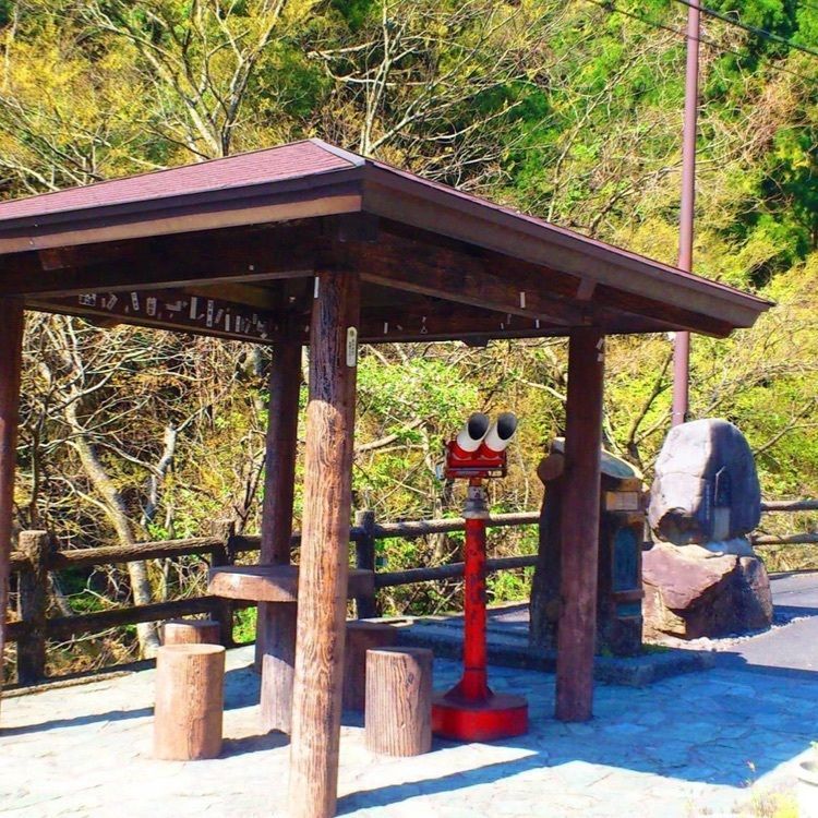 ＤＪゴン太さんが投稿した清流荘（セイリュウソウ）に関する口コミの画像