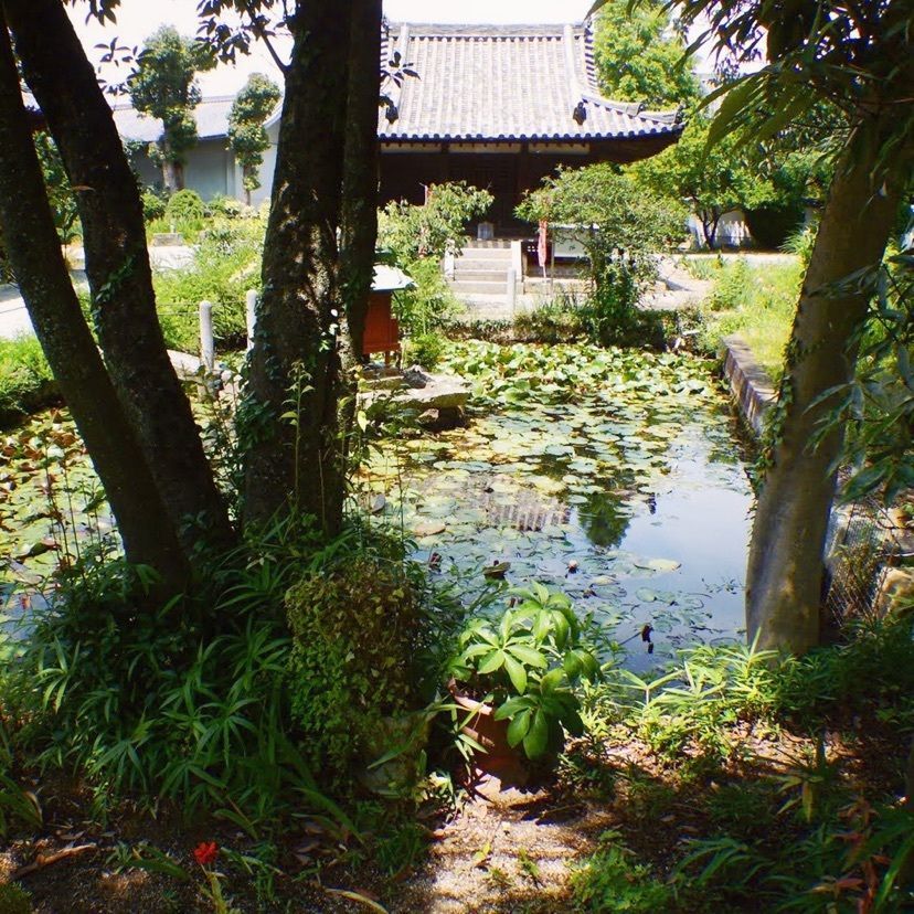 makさんが投稿した刀田山　鶴林寺に関する口コミの画像