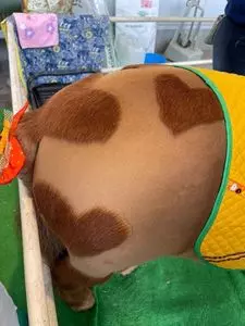 いい道の駅　のと千里浜