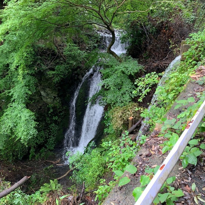 tom_takedaさんが投稿した臥龍山行基寺に関する口コミの画像