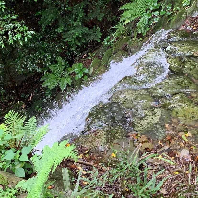 tom_takedaさんが投稿した臥龍山行基寺に関する口コミの画像
