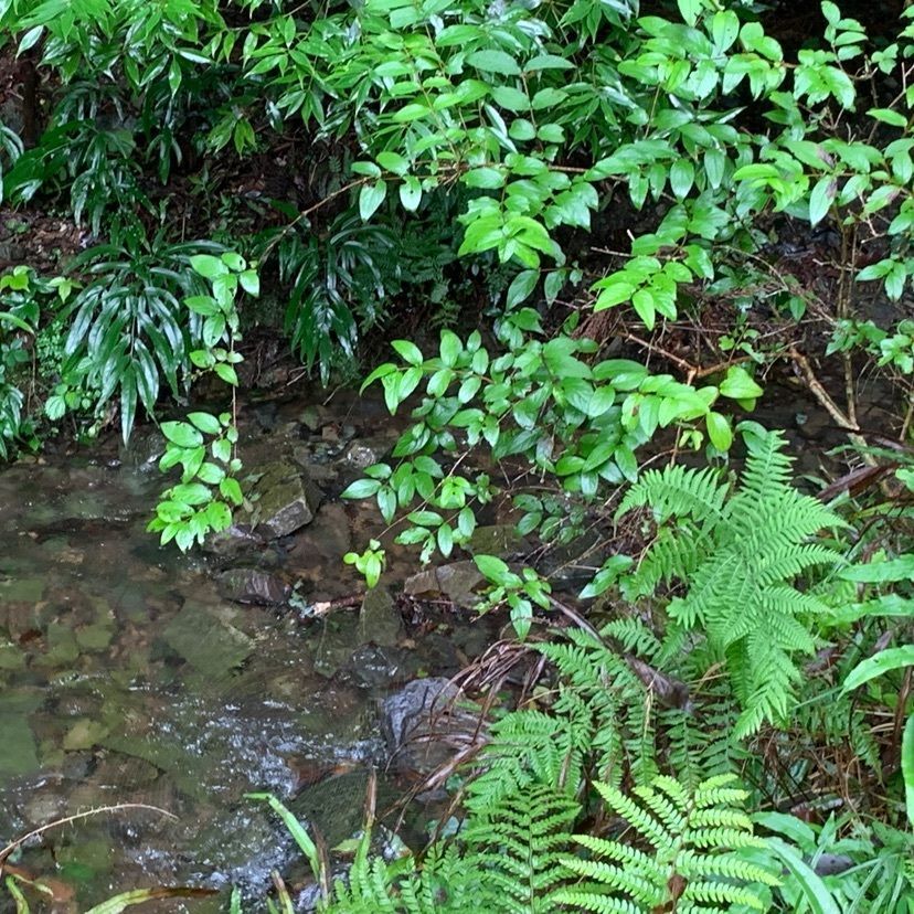 tom_takedaさんが投稿した臥龍山行基寺に関する口コミの画像