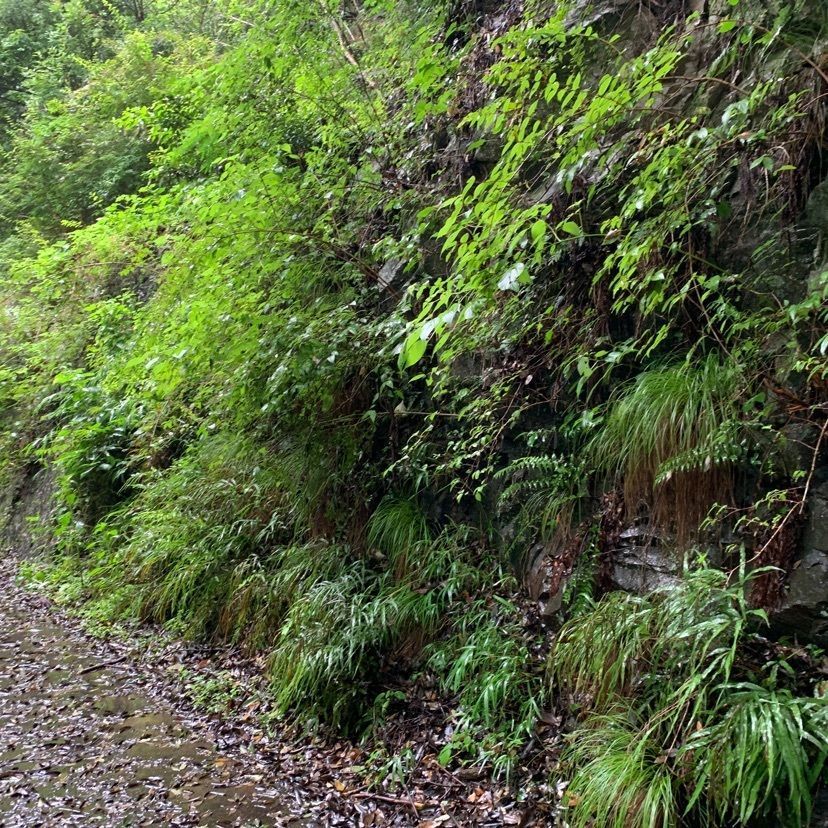 tom_takedaさんが投稿した臥龍山行基寺に関する口コミの画像