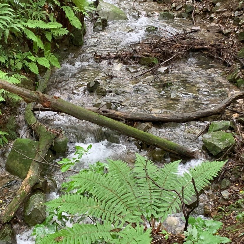 tom_takedaさんが投稿した臥龍山行基寺に関する口コミの画像