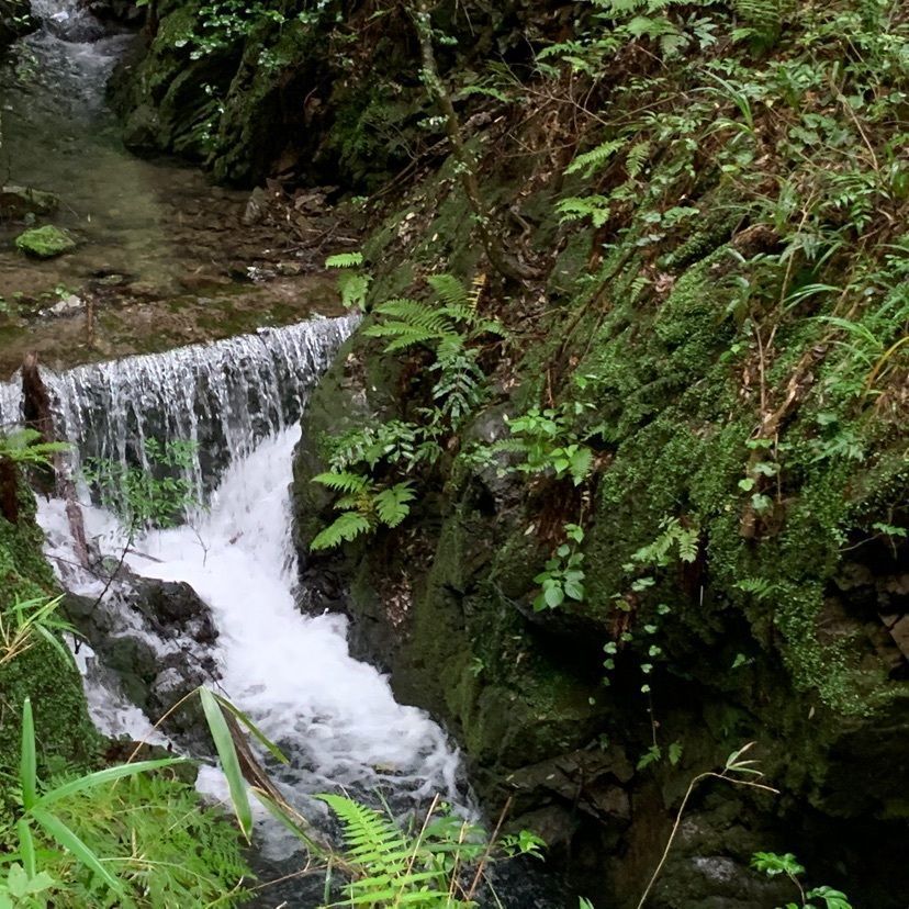 tom_takedaさんが投稿した臥龍山行基寺に関する口コミの画像