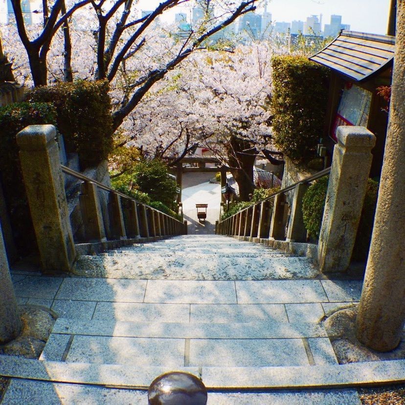 makさんが投稿した北野天満神社に関する口コミの画像