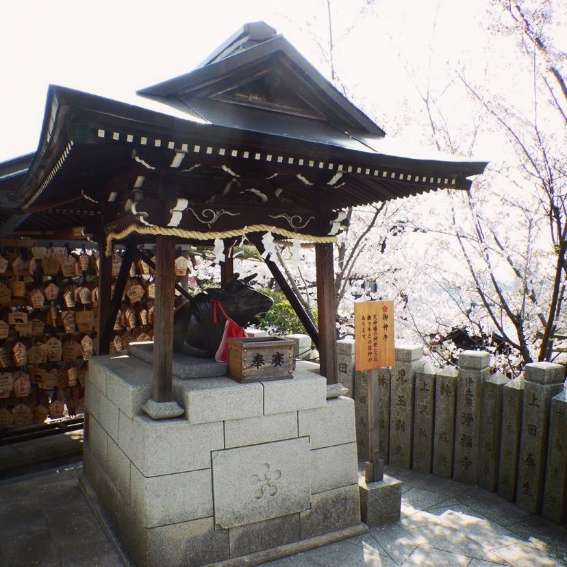 makさんが投稿した北野天満神社に関する口コミの画像