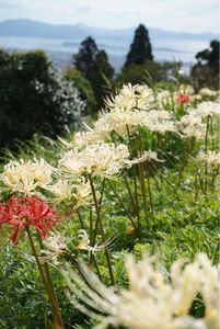 鉢巻山展望所 4枚目