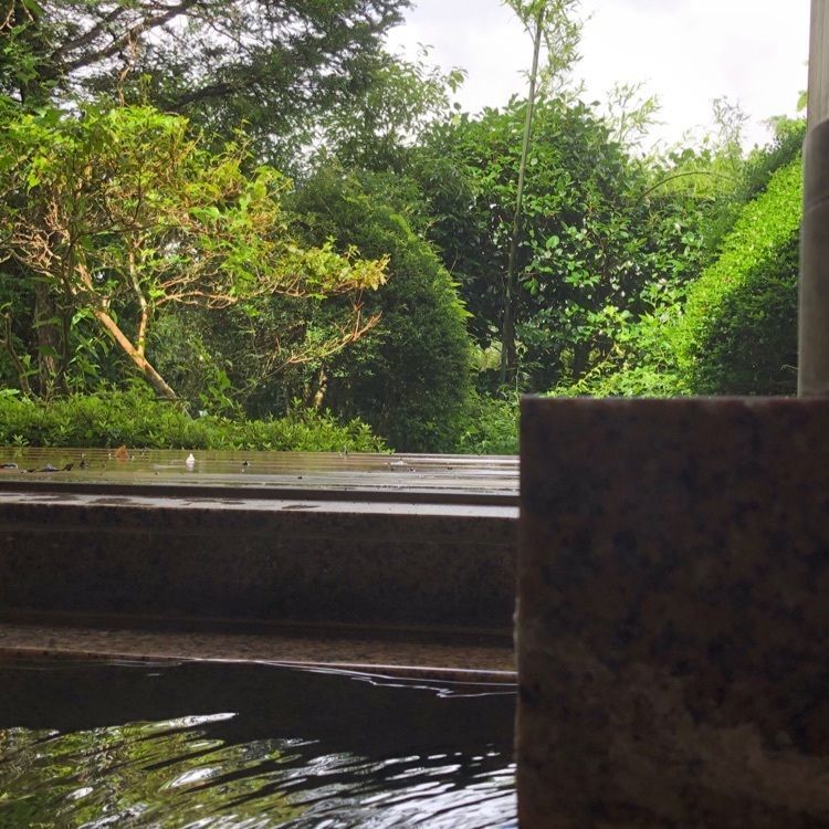 chama0430さんが投稿した料亭旅館　いちい亭に関する口コミの画像