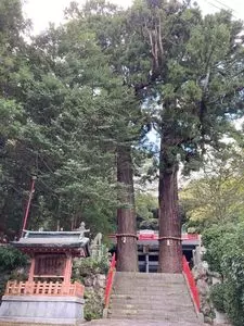 八幡朝見神社