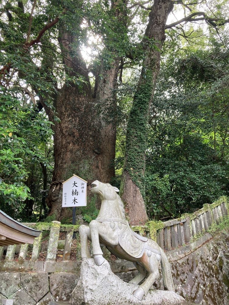 Natsuさんが投稿した八幡朝見神社に関する口コミの画像