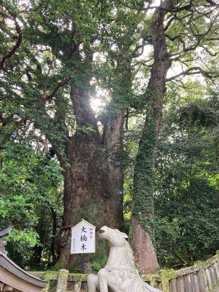 Natsuさんが投稿した八幡朝見神社に関する口コミの画像