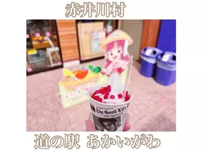 道の駅あかいがわ