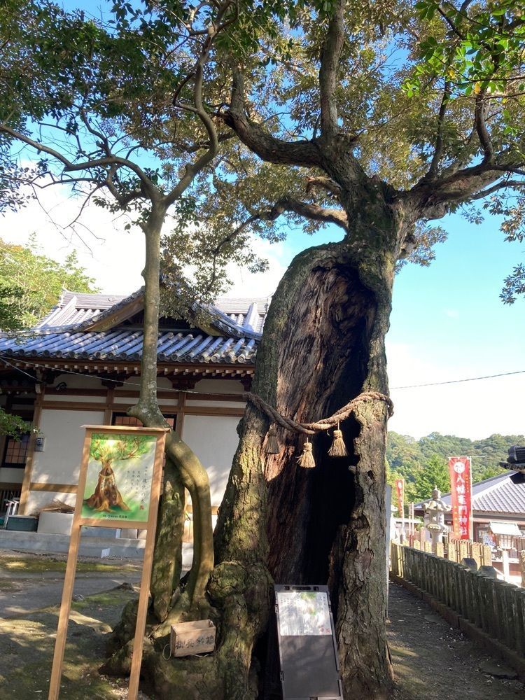 Natsuさんが投稿した八幡竈門神社に関する口コミの画像