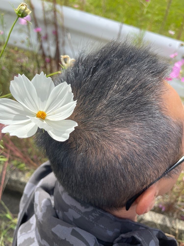ぺたこ♡さんが投稿した気多大社社叢に関する口コミの画像